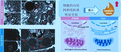 20260507212311.png 图片7.png