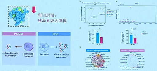 20260507332556.png 图片9.png