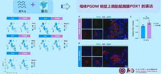 20260507480602.png 图片10.png