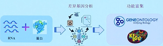 20260507554103.png 图片8.png