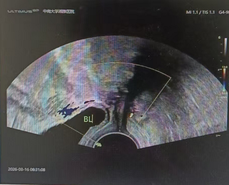 20260524525117.png 图片2.png