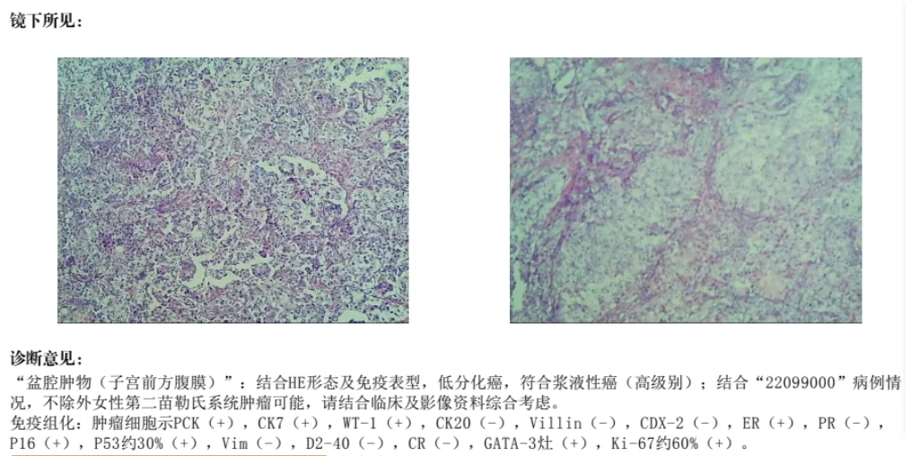20260817781448.png image.png